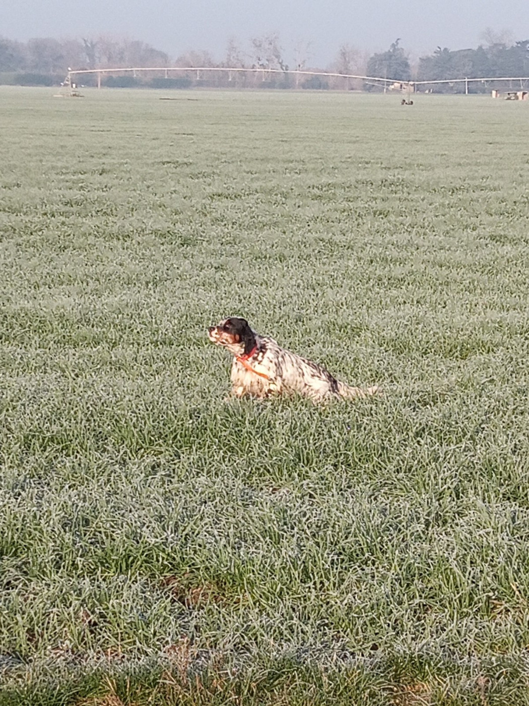 Thor Trialer entrainements Espagne